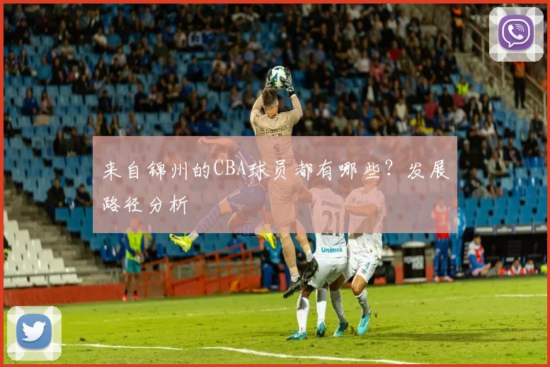 来自锦州的CBA球员都有哪些？发展路径分析