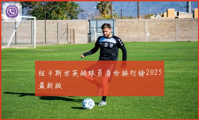 纽卡斯尔英超球员身价排行榜2025最新版