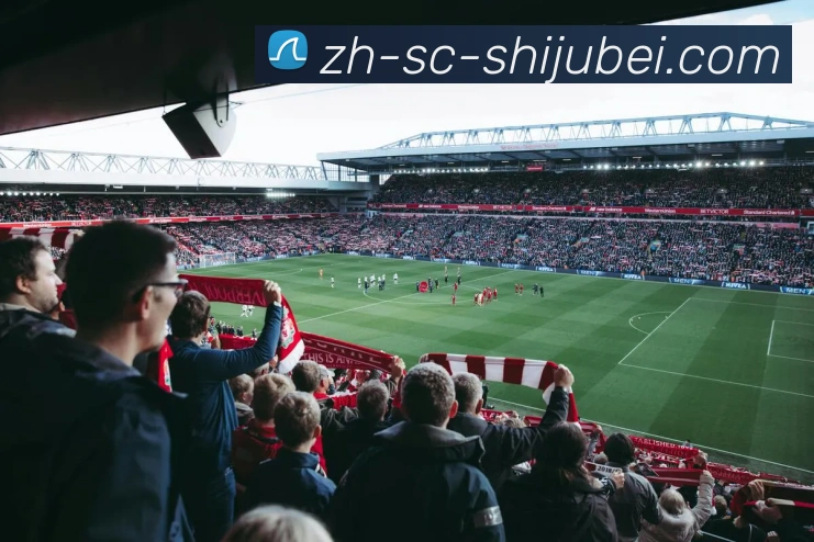 世界杯赛程表平台生态图