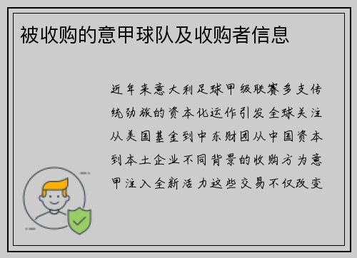 被收购的意甲球队及收购者信息